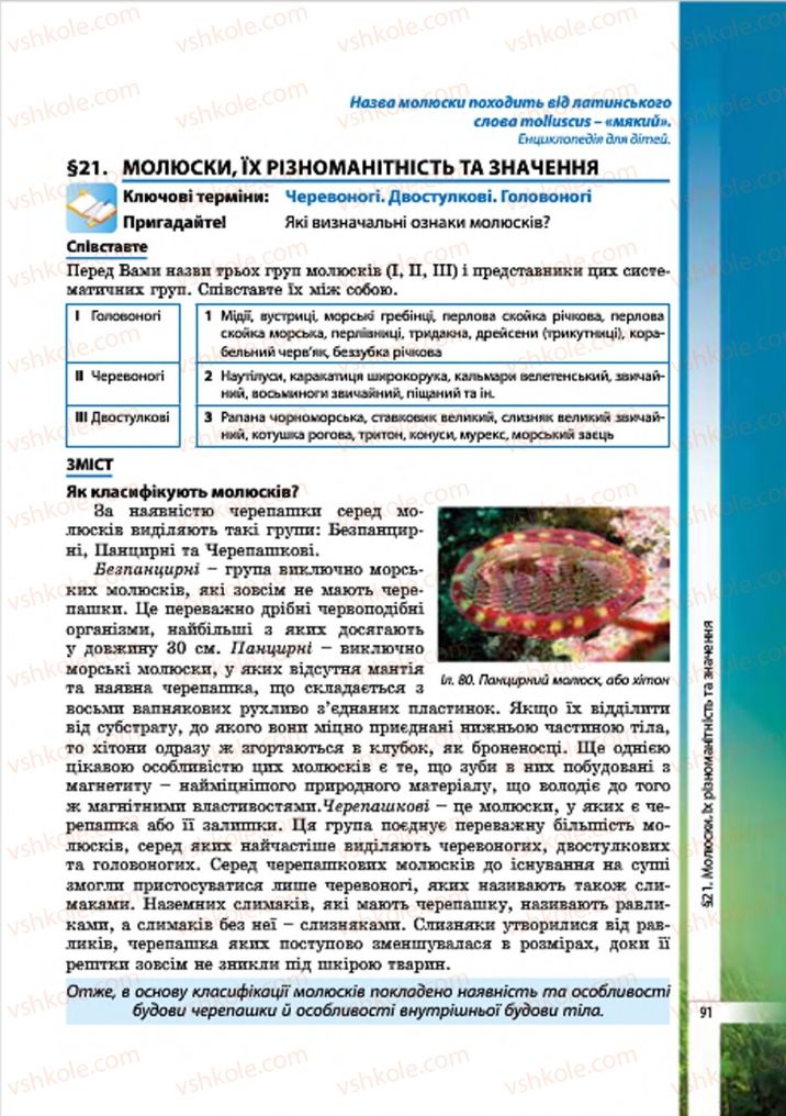 Страница 91 | Підручник Біологія 7 клас В.І. Соболь 2015