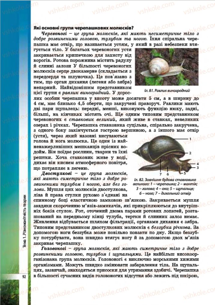Страница 92 | Підручник Біологія 7 клас В.І. Соболь 2015