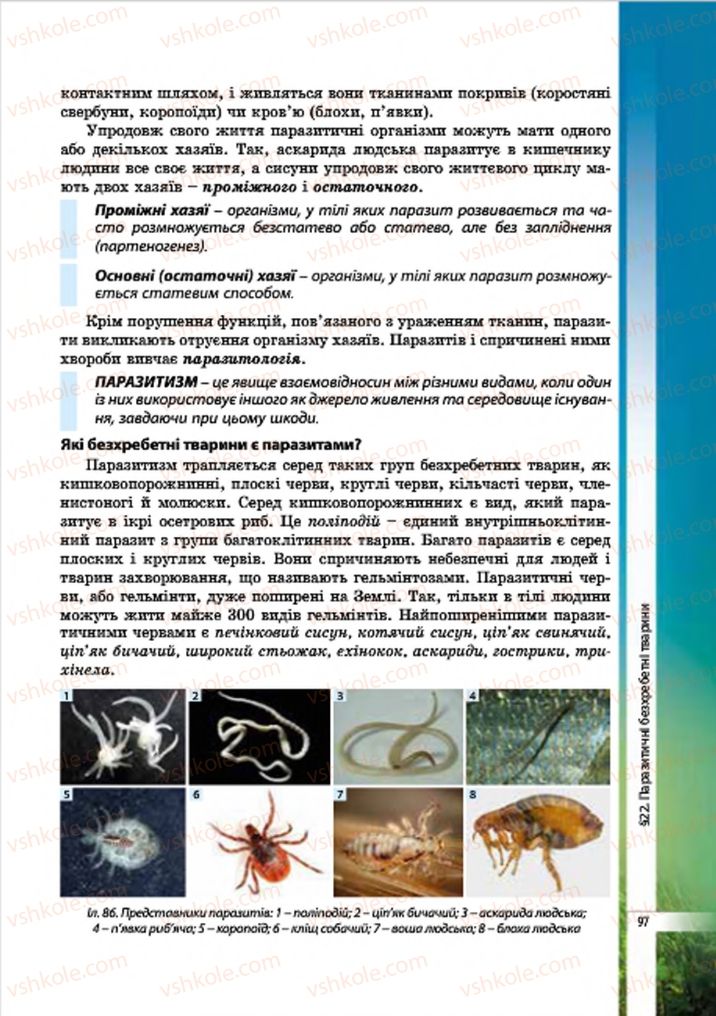 Страница 97 | Підручник Біологія 7 клас В.І. Соболь 2015