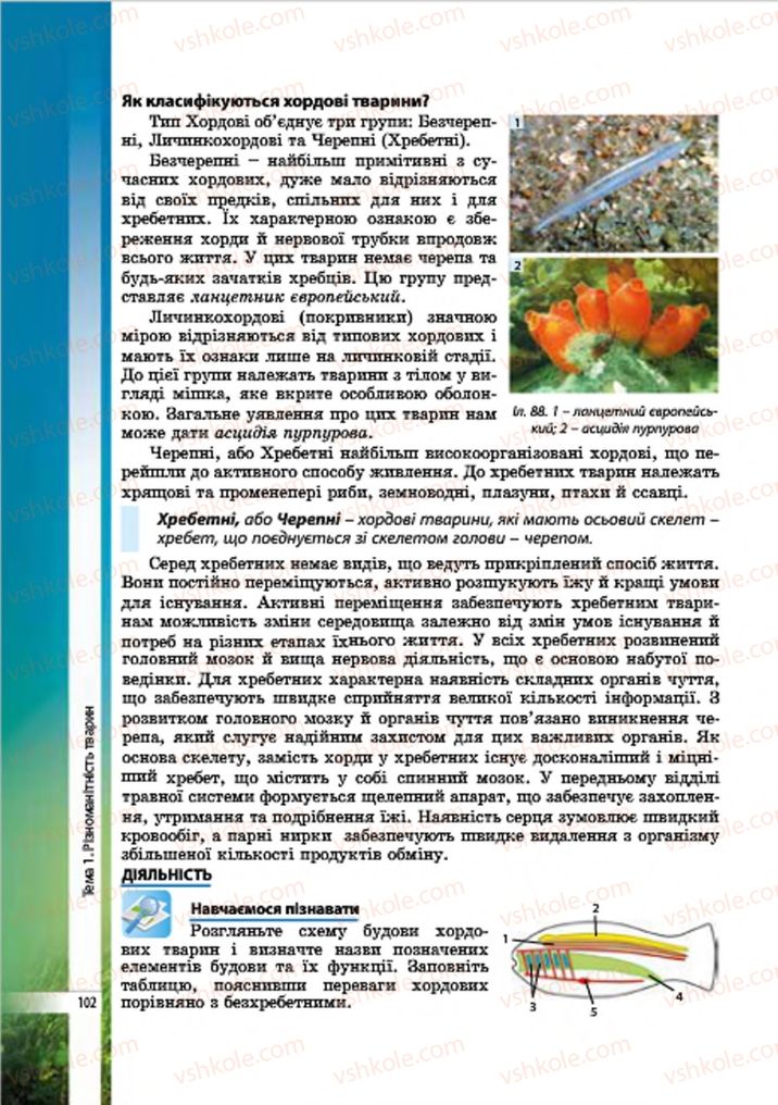 Страница 102 | Підручник Біологія 7 клас В.І. Соболь 2015