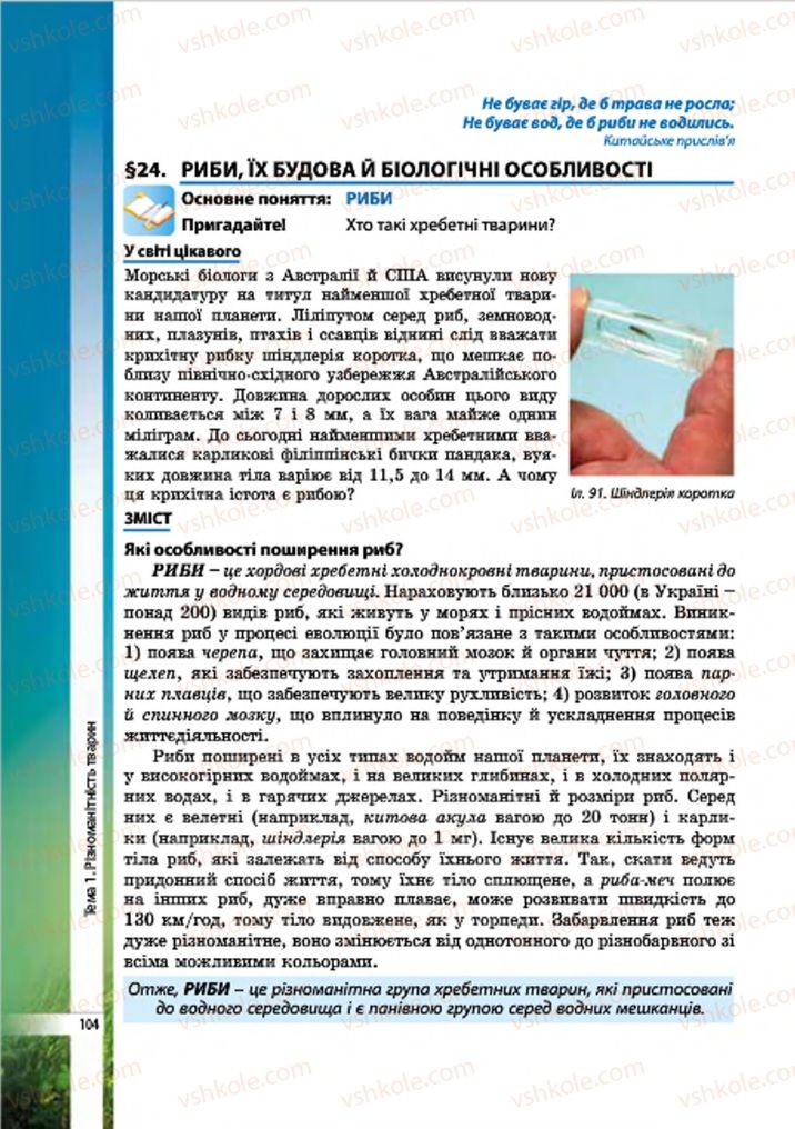 Страница 104 | Підручник Біологія 7 клас В.І. Соболь 2015