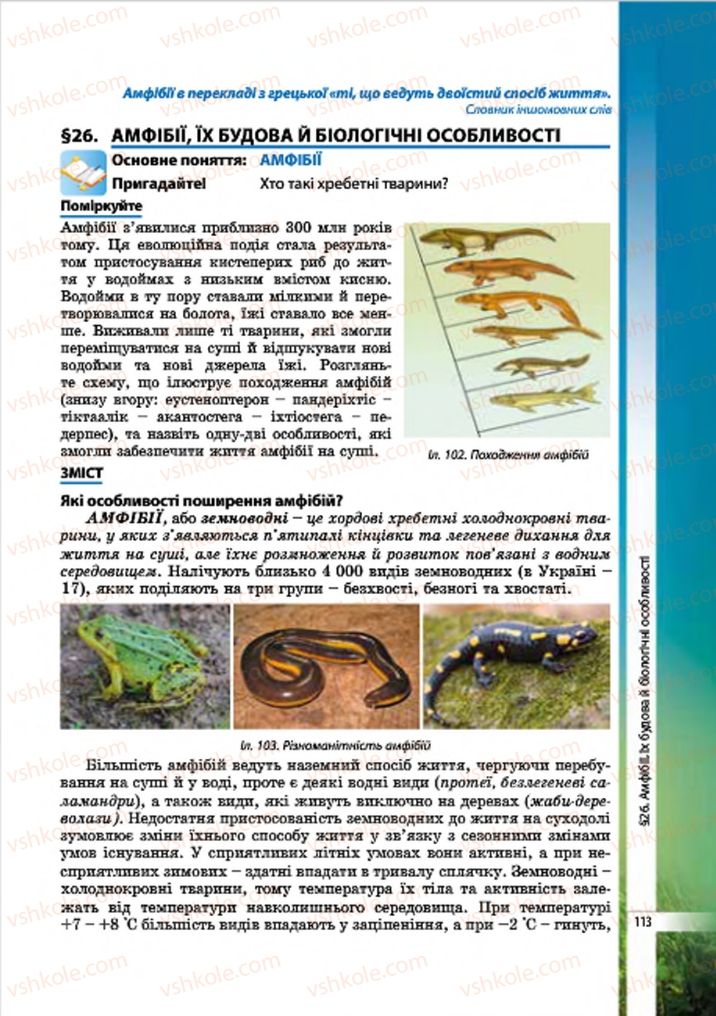 Страница 113 | Підручник Біологія 7 клас В.І. Соболь 2015