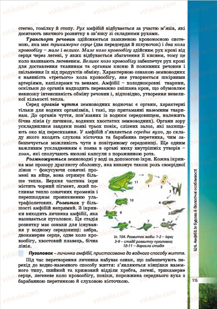 Страница 115 | Підручник Біологія 7 клас В.І. Соболь 2015