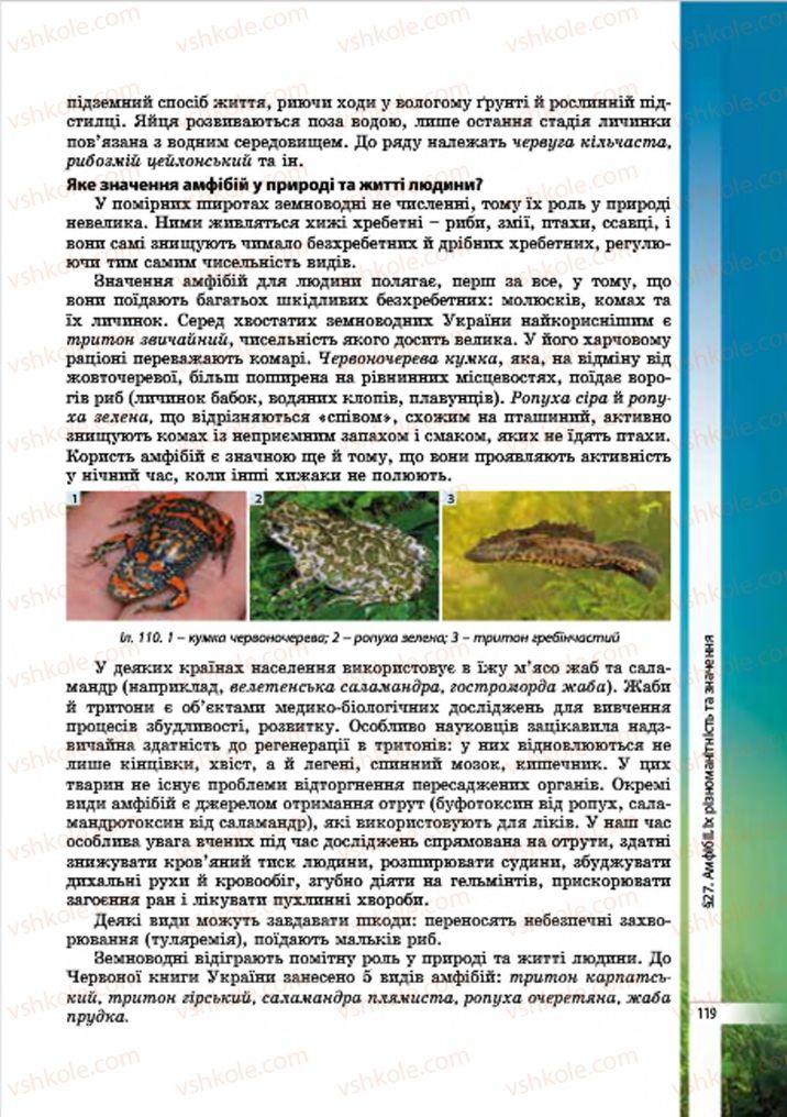 Страница 119 | Підручник Біологія 7 клас В.І. Соболь 2015