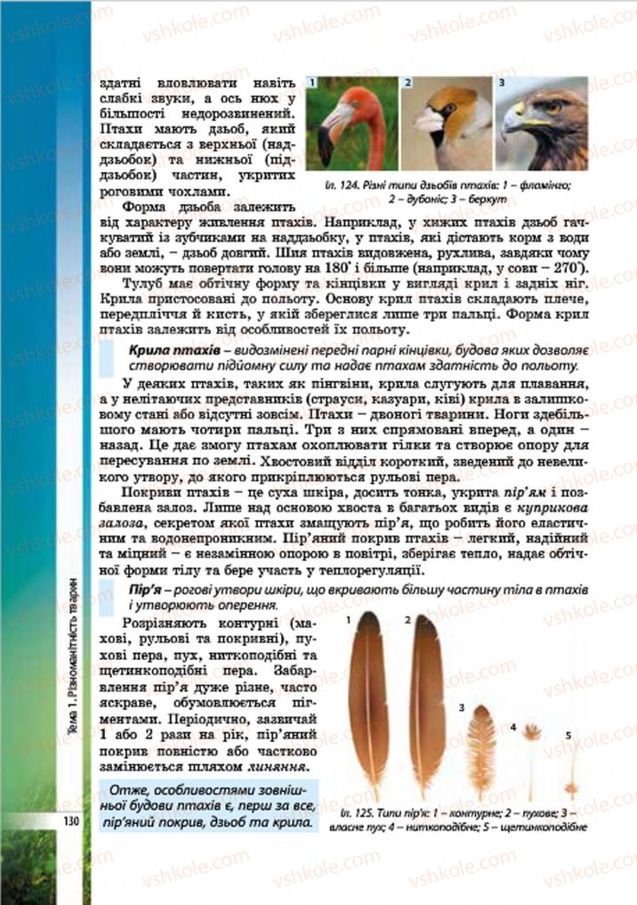 Страница 130 | Підручник Біологія 7 клас В.І. Соболь 2015