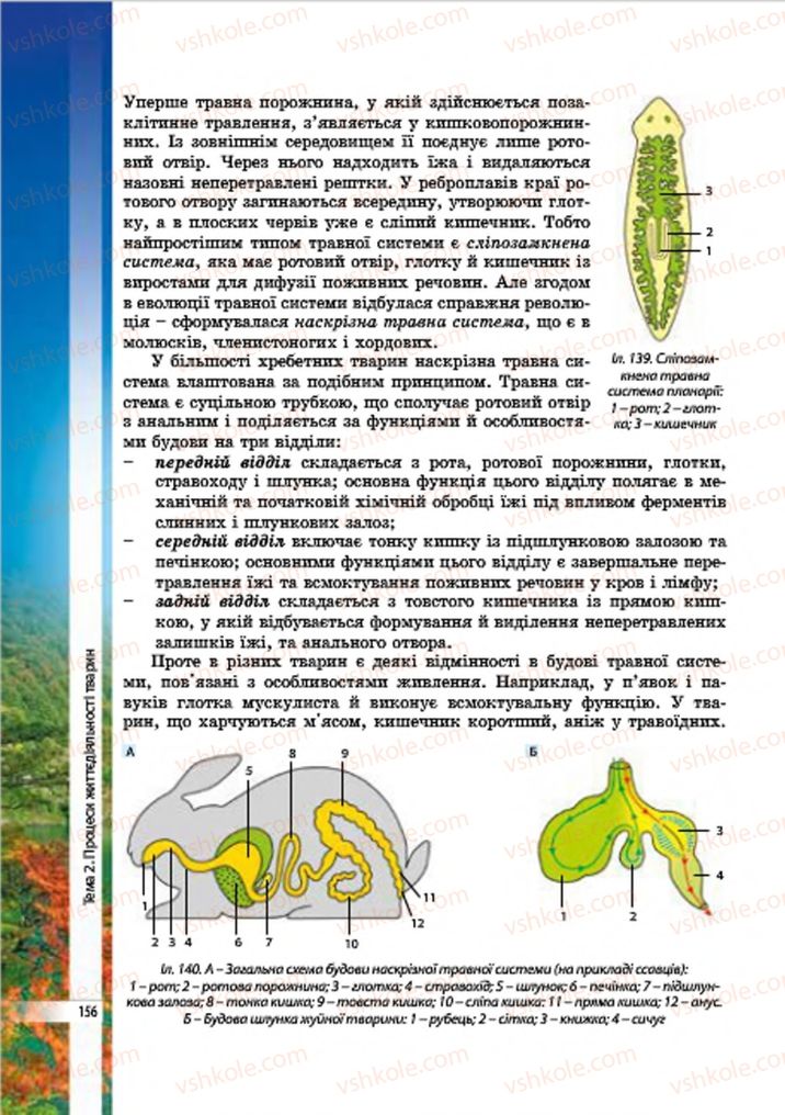 Страница 156 | Підручник Біологія 7 клас В.І. Соболь 2015