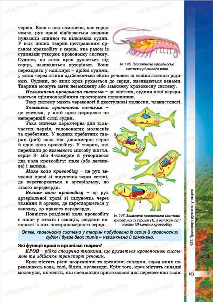 Страница 163 | Підручник Біологія 7 клас В.І. Соболь 2015
