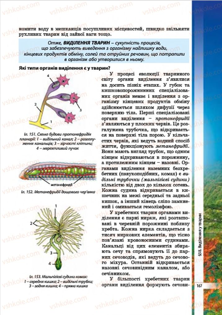 Страница 167 | Підручник Біологія 7 клас В.І. Соболь 2015