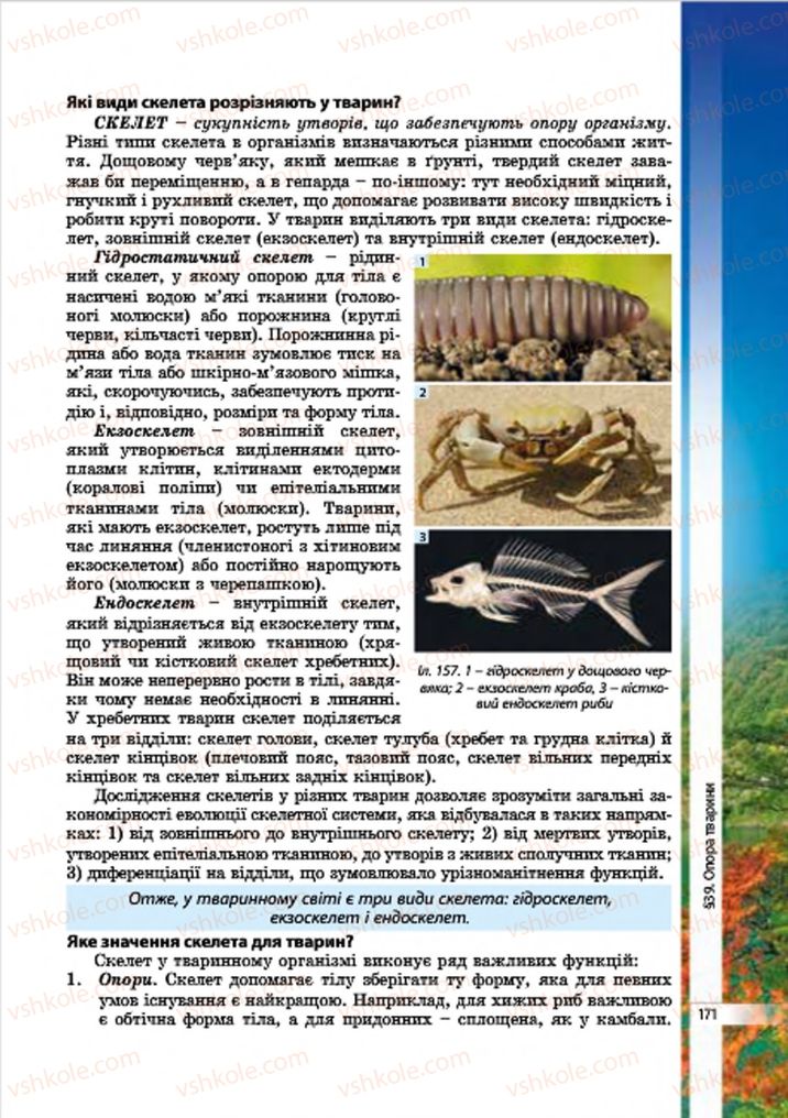 Страница 171 | Підручник Біологія 7 клас В.І. Соболь 2015