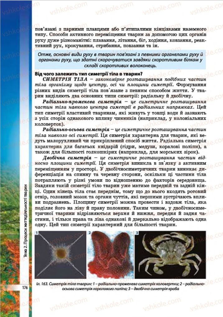 Страница 176 | Підручник Біологія 7 клас В.І. Соболь 2015