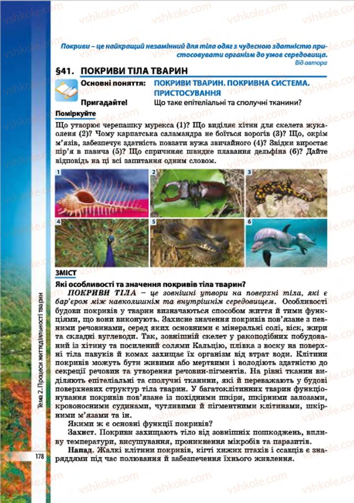 Страница 178 | Підручник Біологія 7 клас В.І. Соболь 2015