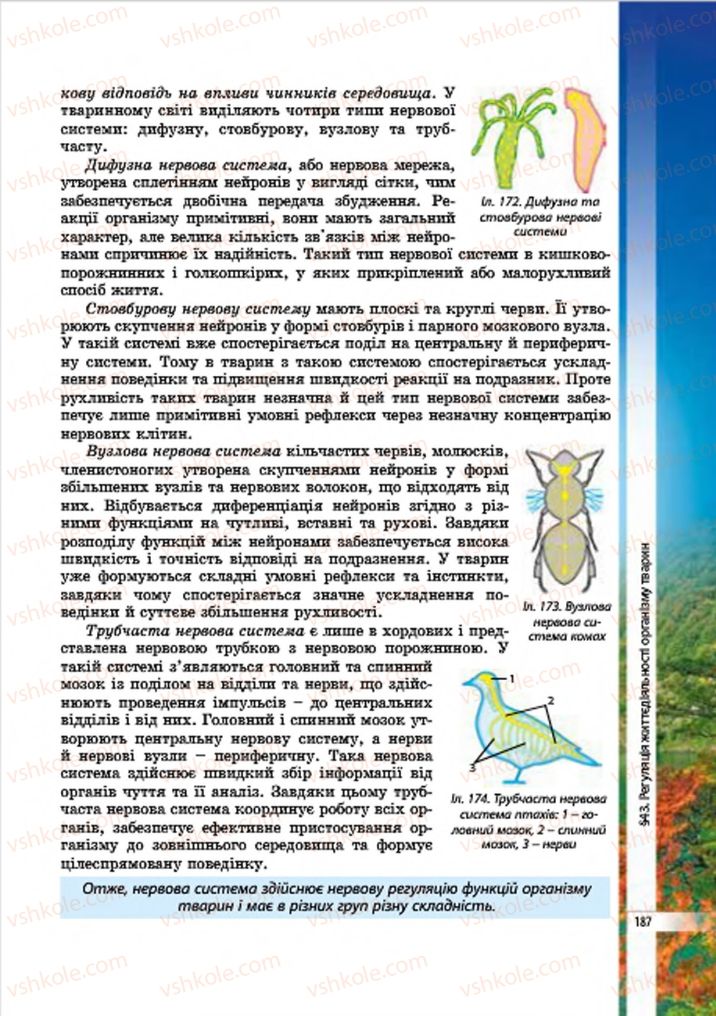 Страница 187 | Підручник Біологія 7 клас В.І. Соболь 2015