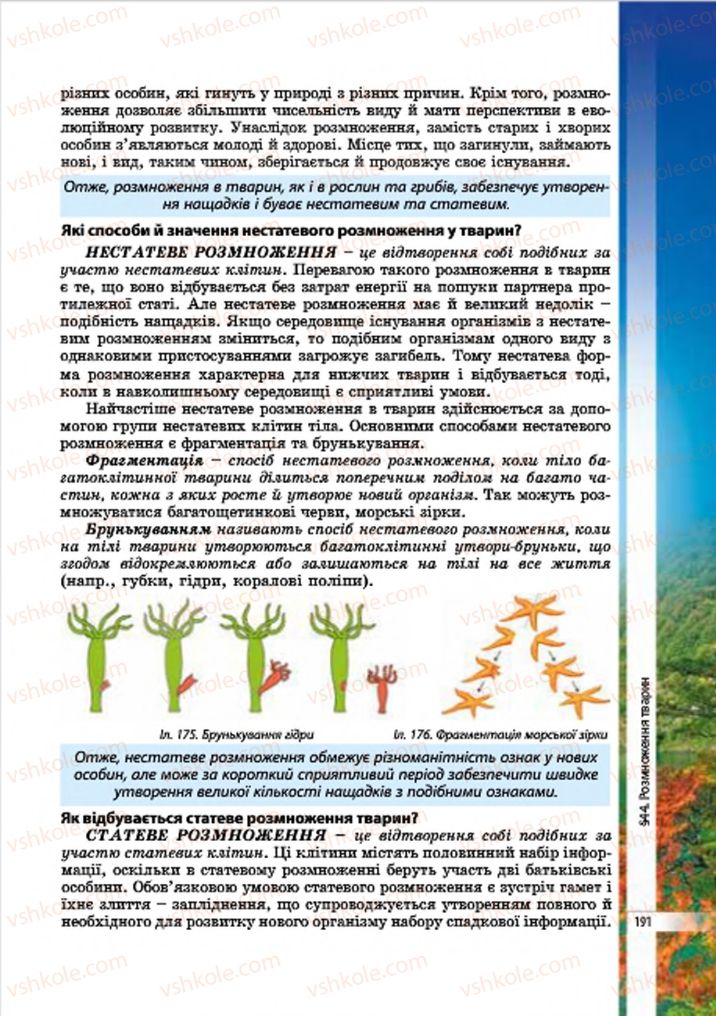Страница 191 | Підручник Біологія 7 клас В.І. Соболь 2015