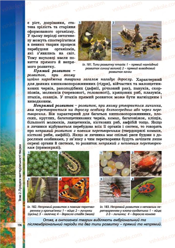 Страница 196 | Підручник Біологія 7 клас В.І. Соболь 2015
