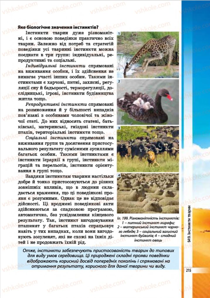 Страница 215 | Підручник Біологія 7 клас В.І. Соболь 2015