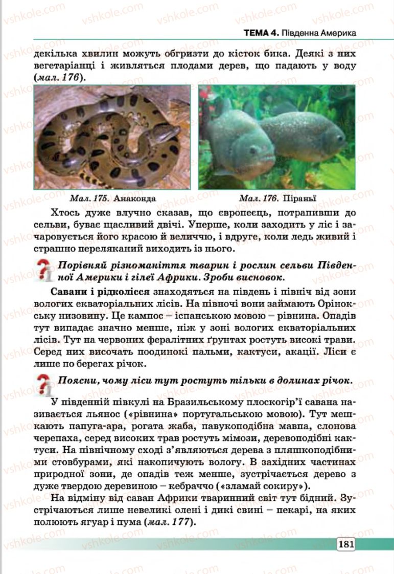 Страница 181 | Підручник Географія 7 клас П.О. Масляк, С.Л. Капіруліна 2015