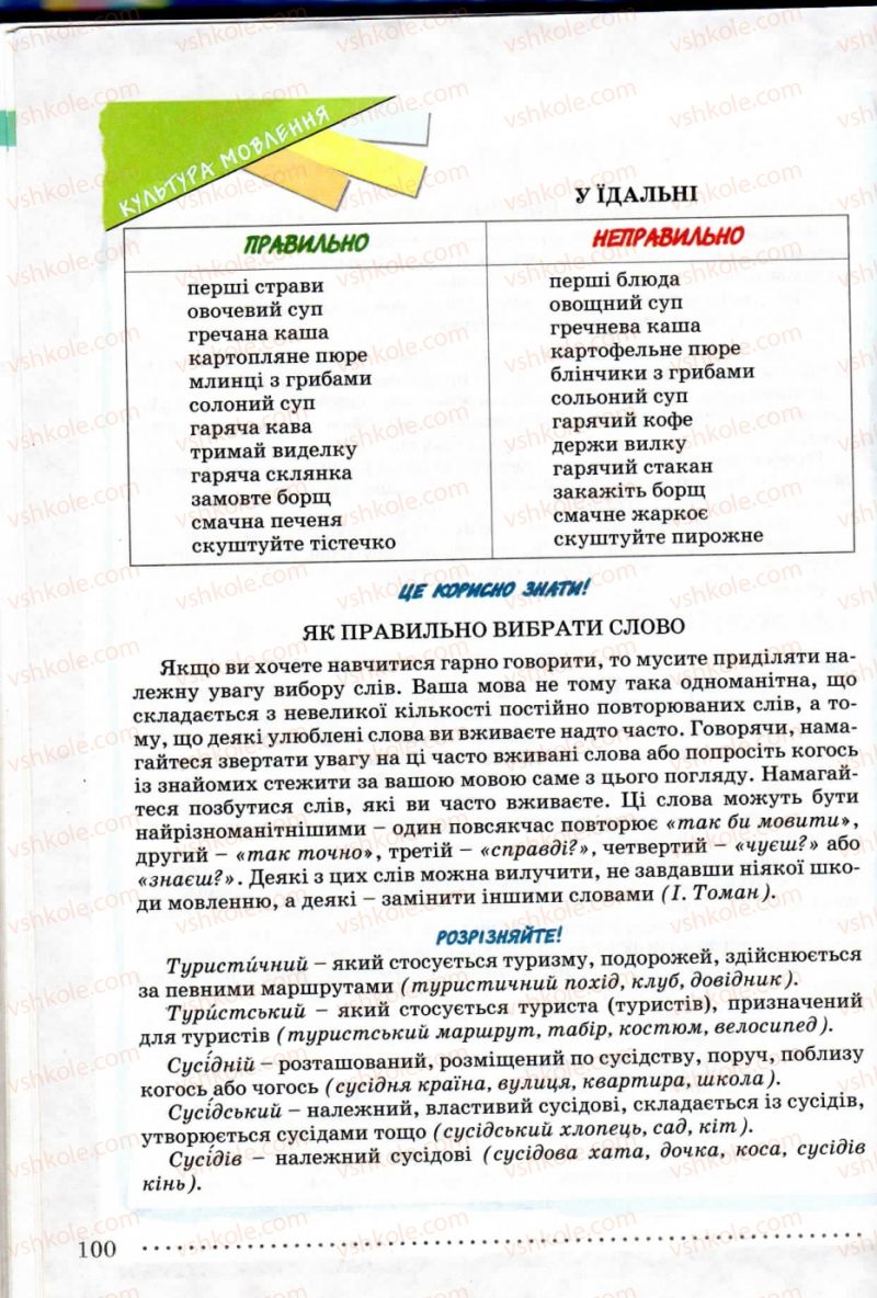 Страница 100 | Підручник Українська мова 8 клас В.В. Заболотний, О.В. Заболотний 2008