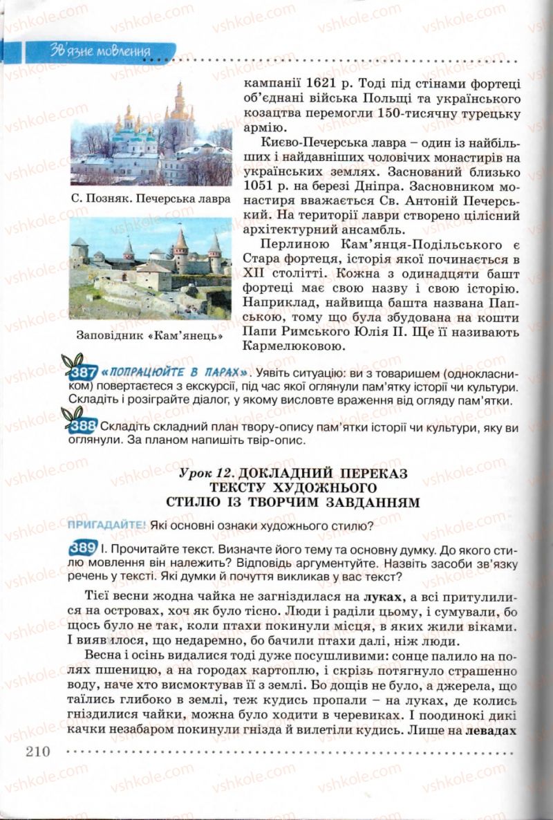 Страница 210 | Підручник Українська мова 8 клас В.В. Заболотний, О.В. Заболотний 2008