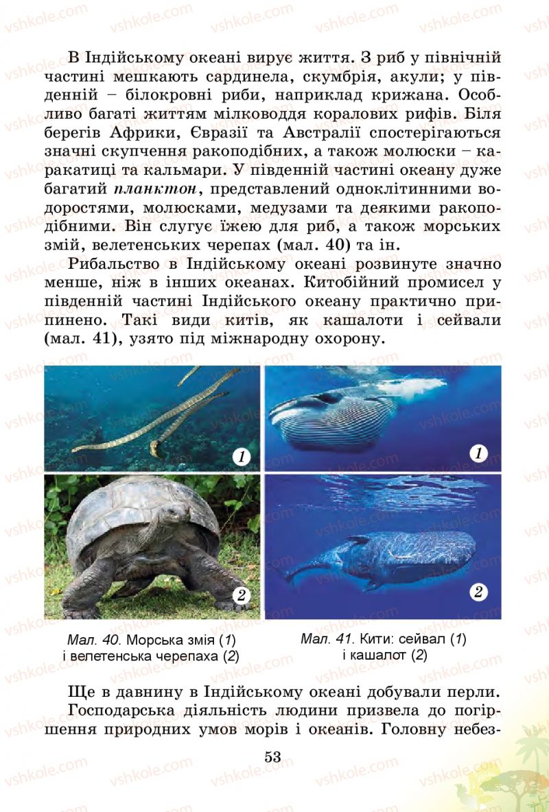 Страница 53 | Підручник Природознавство 4 клас Т.Г. Гільберг, Т.В. Сак 2015