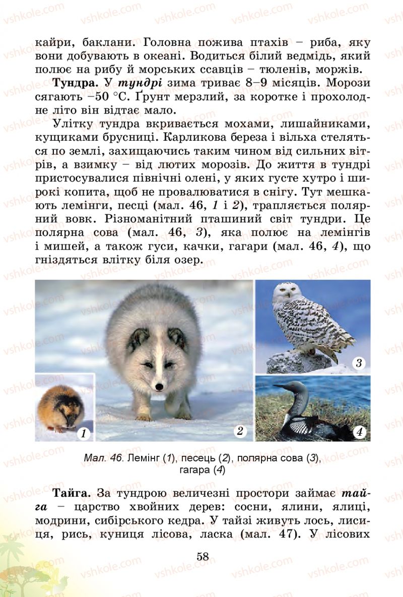 Страница 58 | Підручник Природознавство 4 клас Т.Г. Гільберг, Т.В. Сак 2015