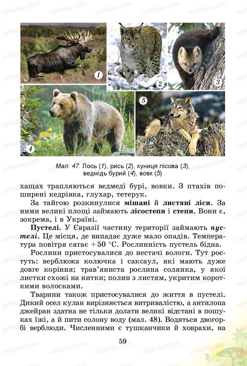 Страница 59 | Підручник Природознавство 4 клас Т.Г. Гільберг, Т.В. Сак 2015