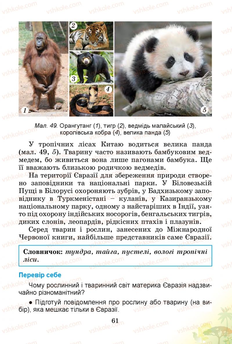 Страница 61 | Підручник Природознавство 4 клас Т.Г. Гільберг, Т.В. Сак 2015