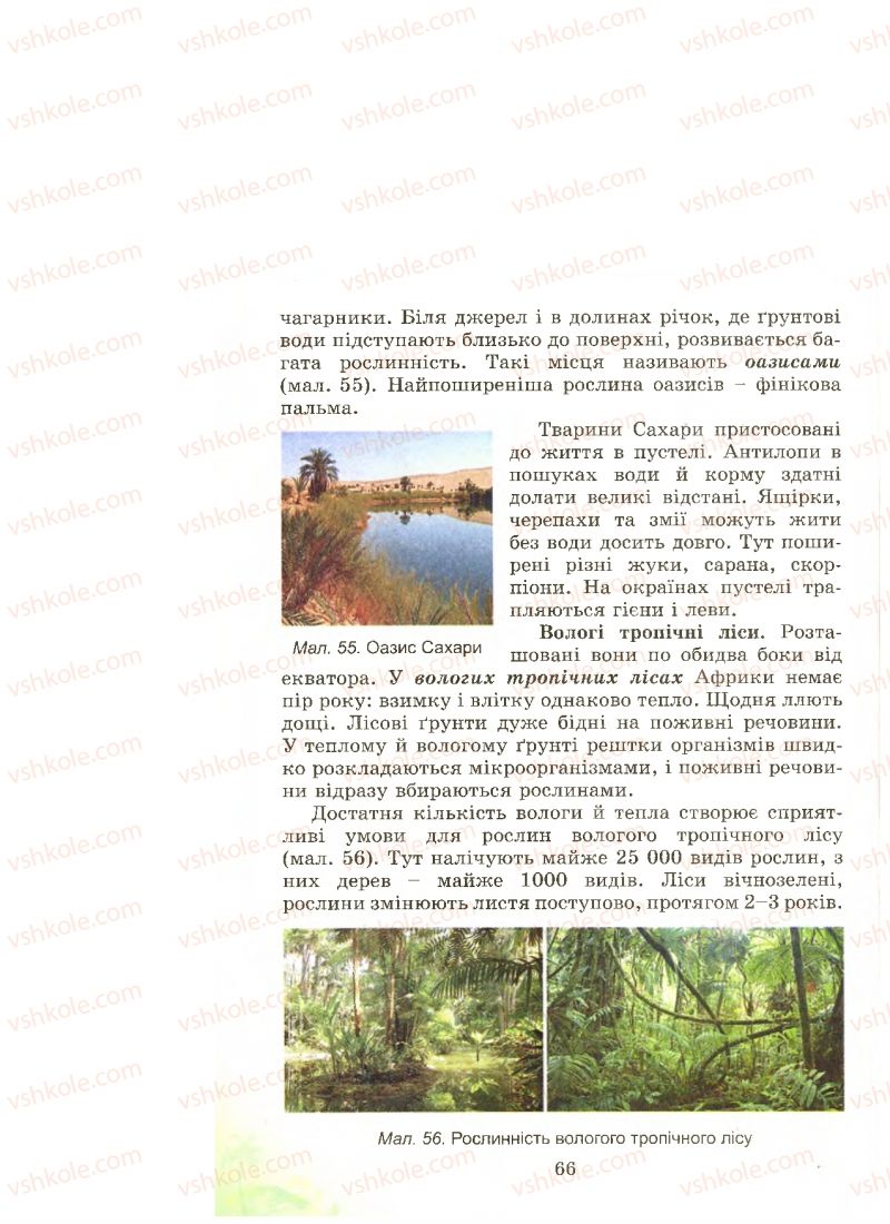 Страница 66 | Підручник Природознавство 4 клас Т.Г. Гільберг, Т.В. Сак 2015