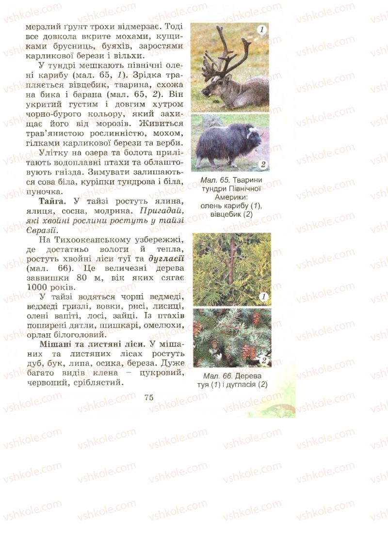 Страница 75 | Підручник Природознавство 4 клас Т.Г. Гільберг, Т.В. Сак 2015