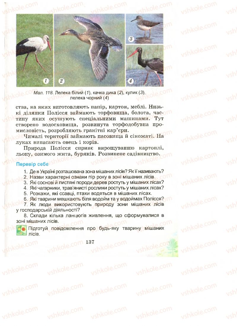 Страница 137 | Підручник Природознавство 4 клас Т.Г. Гільберг, Т.В. Сак 2015