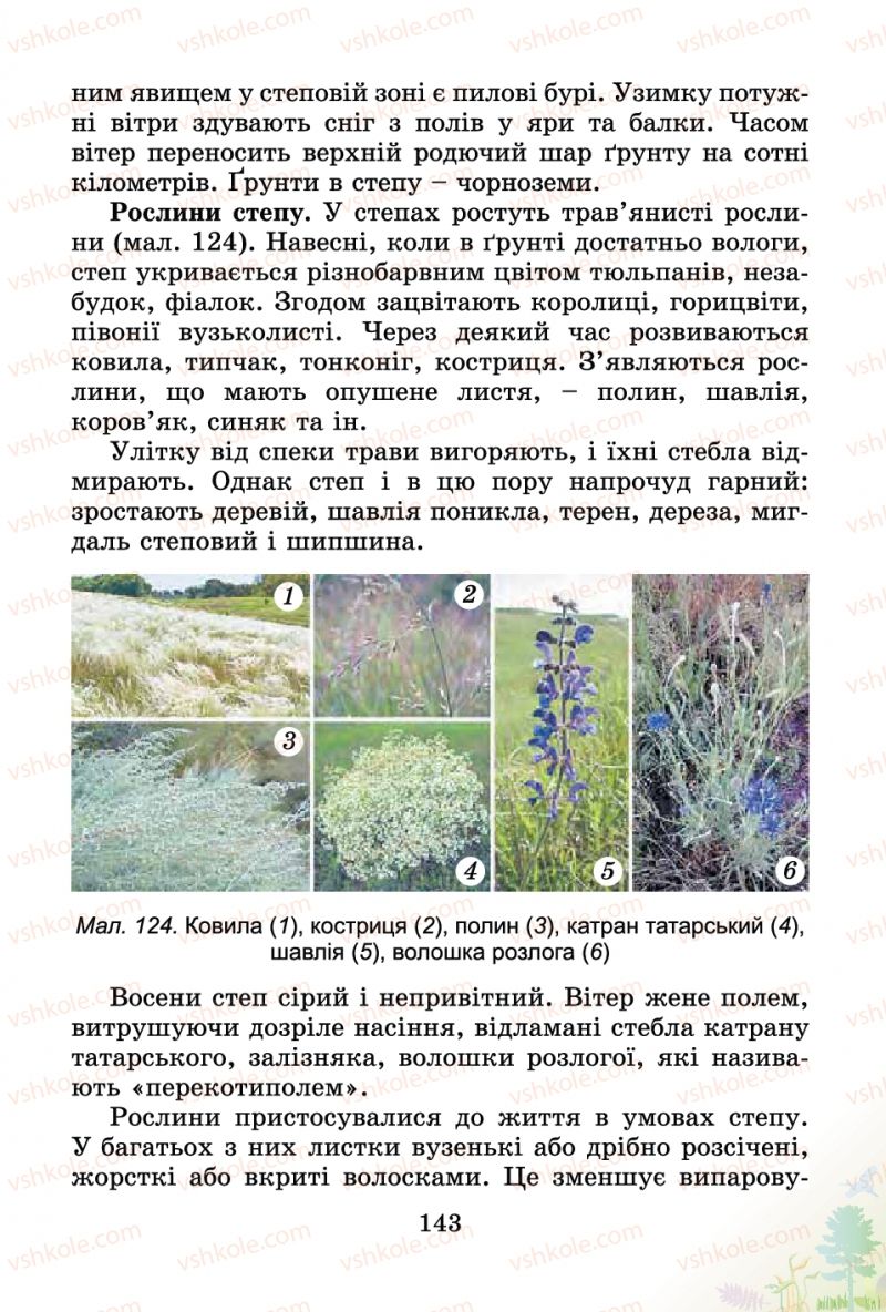 Страница 143 | Підручник Природознавство 4 клас Т.Г. Гільберг, Т.В. Сак 2015