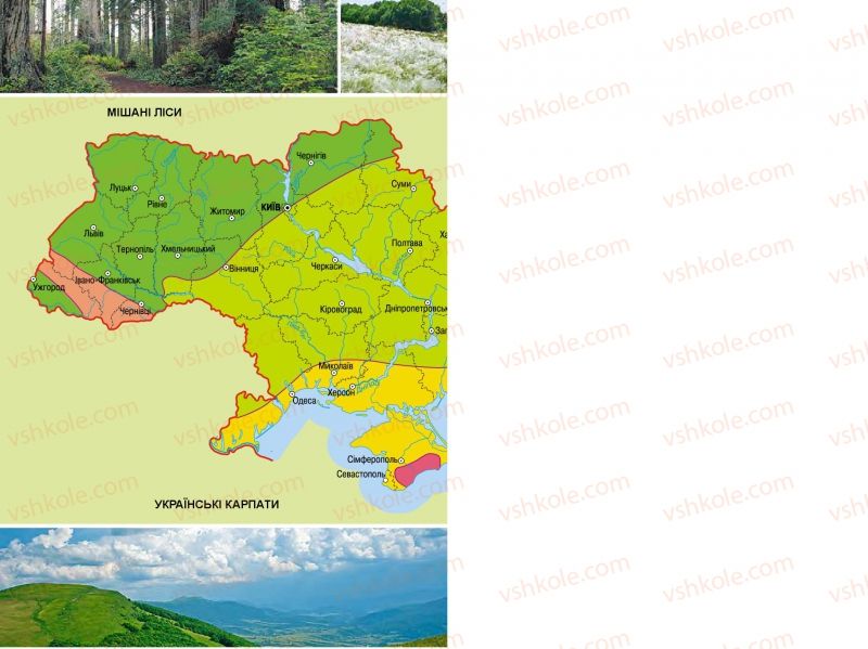 Страница 180 | Підручник Природознавство 4 клас Т.Г. Гільберг, Т.В. Сак 2015