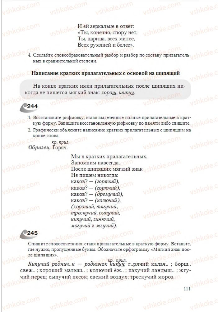 Страница 111 | Підручник Русский язык 6 клас А.Н. Рудяков, Т.Я. Фролова 2014