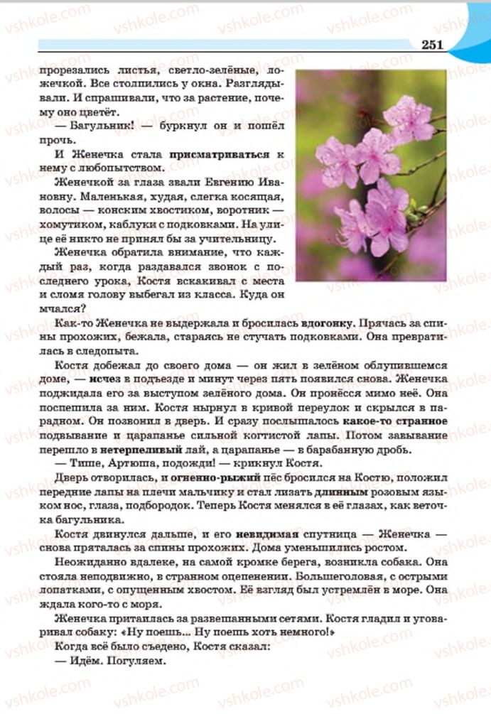 Страница 251 | Підручник Русский язык 7 клас Е.И. Быкова, Л.В. Давидюк, Е.Ф. Рачко 2015