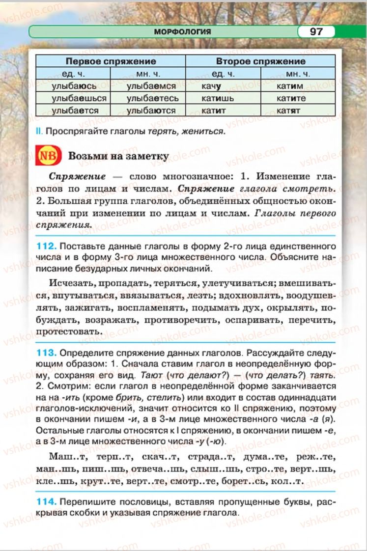 Страница 97 | Підручник Русский язык 7 клас Л.В. Давидюк, В.И. Стативка 2015 7 год обучения