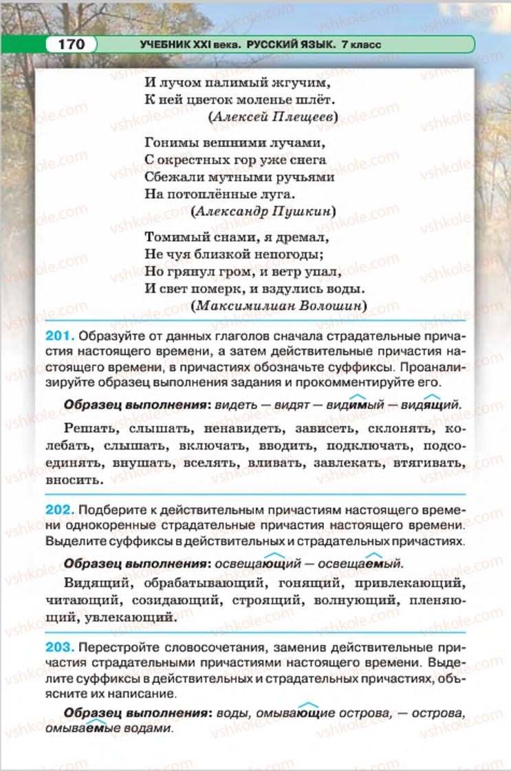 Страница 170 | Підручник Русский язык 7 клас Л.В. Давидюк, В.И. Стативка 2015 7 год обучения