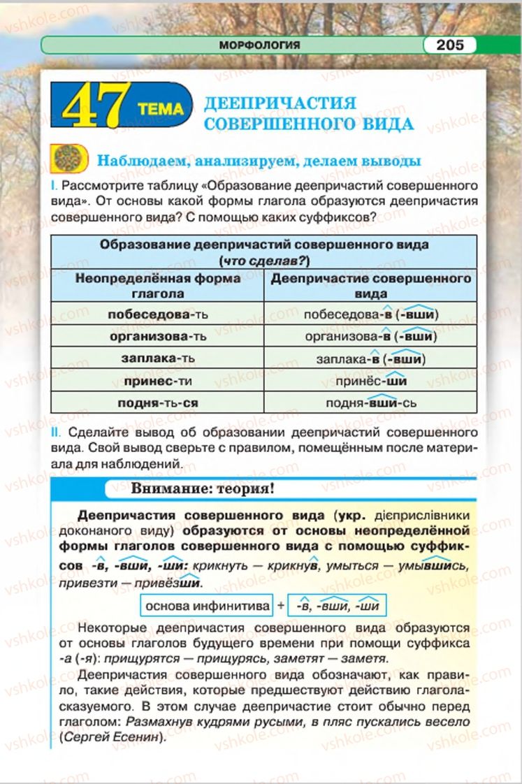 Страница 205 | Підручник Русский язык 7 клас Л.В. Давидюк, В.И. Стативка 2015 7 год обучения