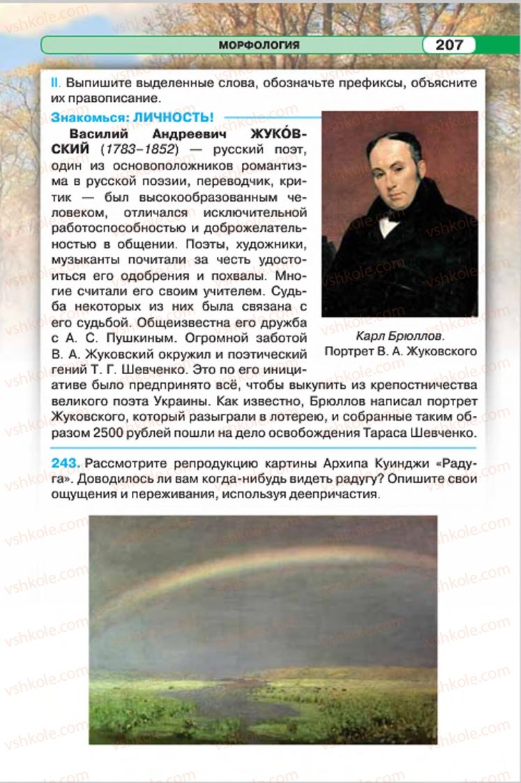 Страница 207 | Підручник Русский язык 7 клас Л.В. Давидюк, В.И. Стативка 2015 7 год обучения