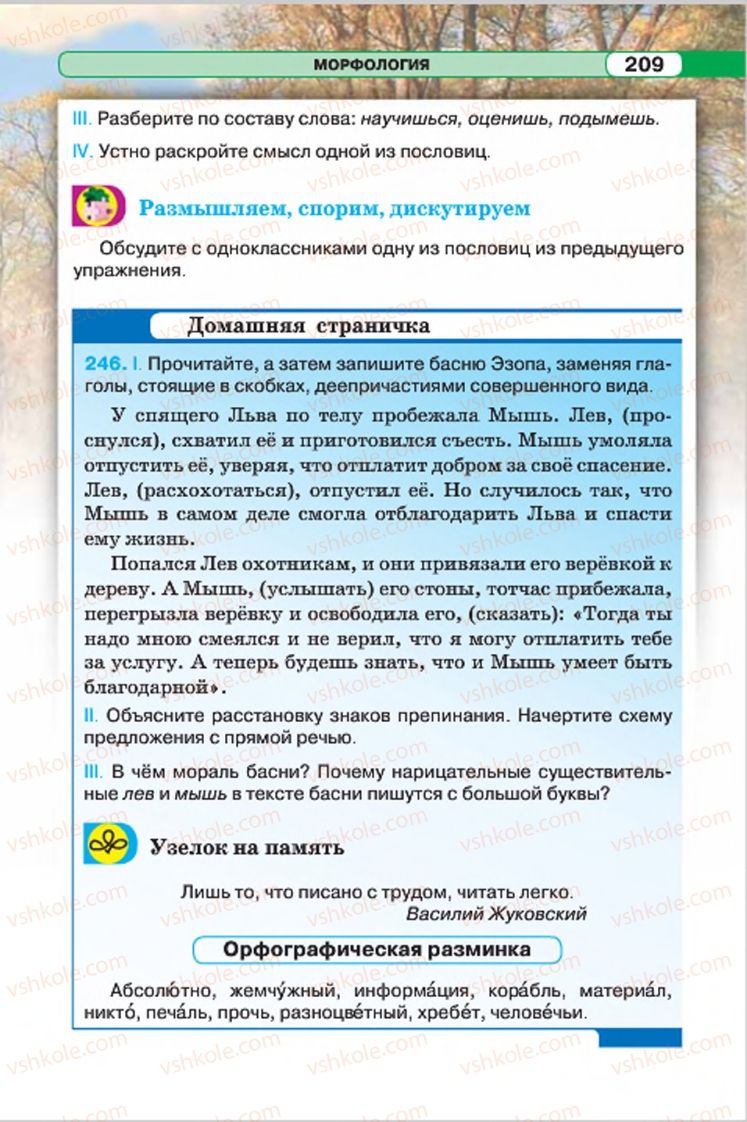 Страница 209 | Підручник Русский язык 7 клас Л.В. Давидюк, В.И. Стативка 2015 7 год обучения