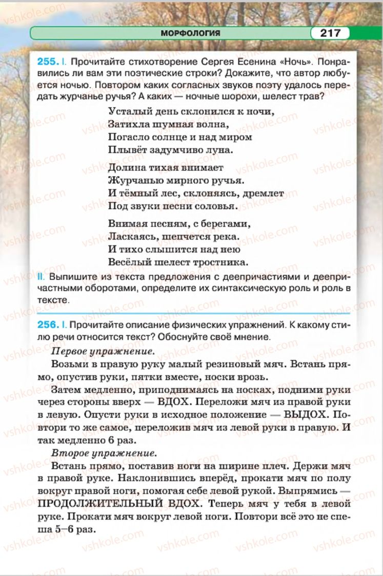 Страница 217 | Підручник Русский язык 7 клас Л.В. Давидюк, В.И. Стативка 2015 7 год обучения