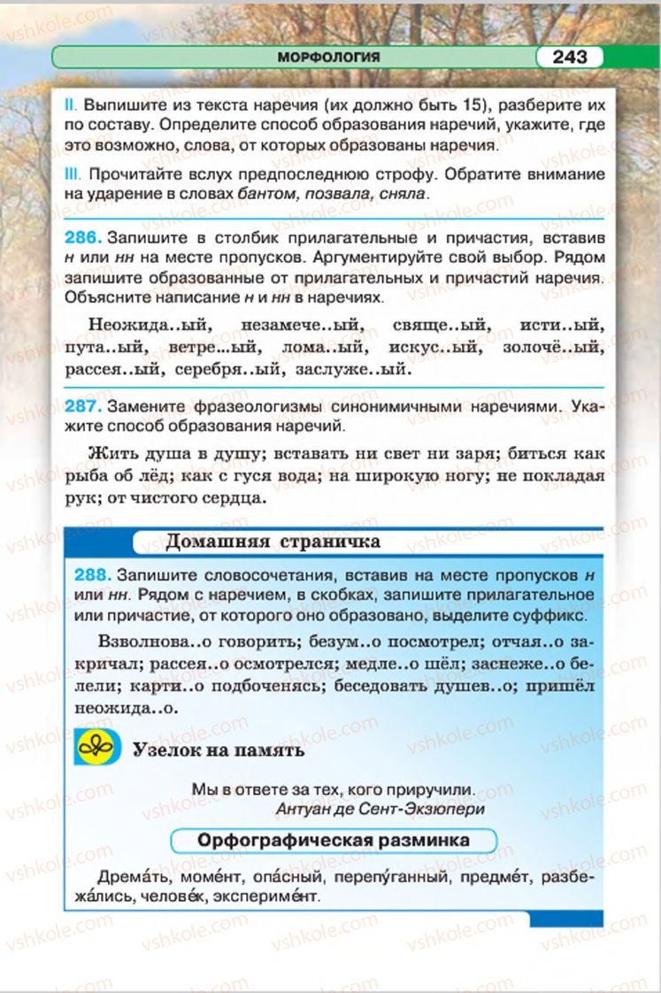 Страница 243 | Підручник Русский язык 7 клас Л.В. Давидюк, В.И. Стативка 2015 7 год обучения