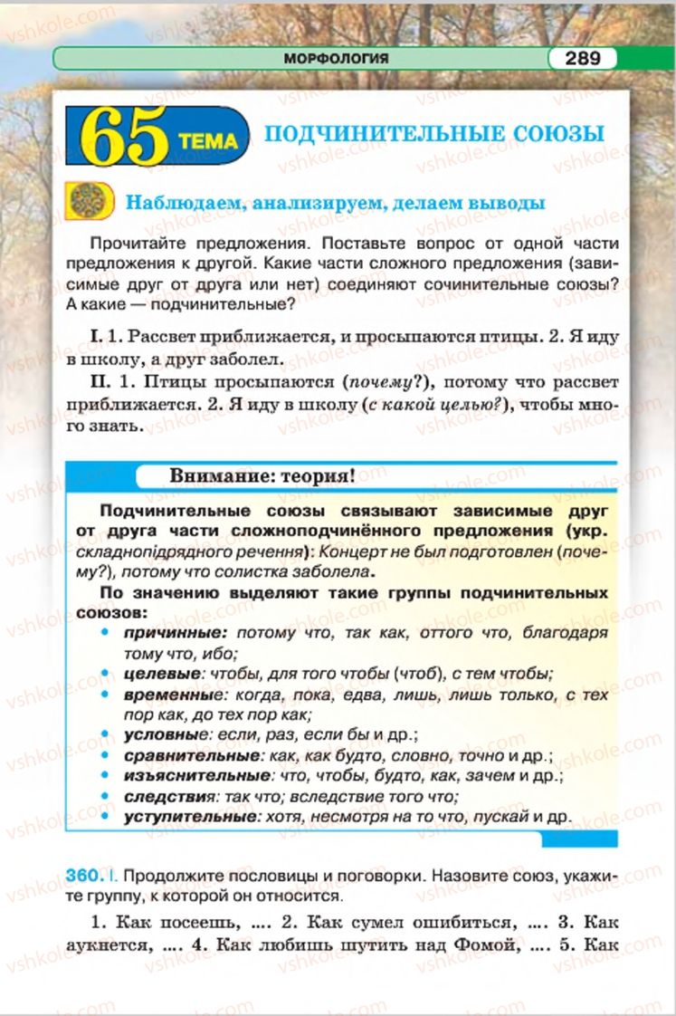 Страница 289 | Підручник Русский язык 7 клас Л.В. Давидюк, В.И. Стативка 2015 7 год обучения