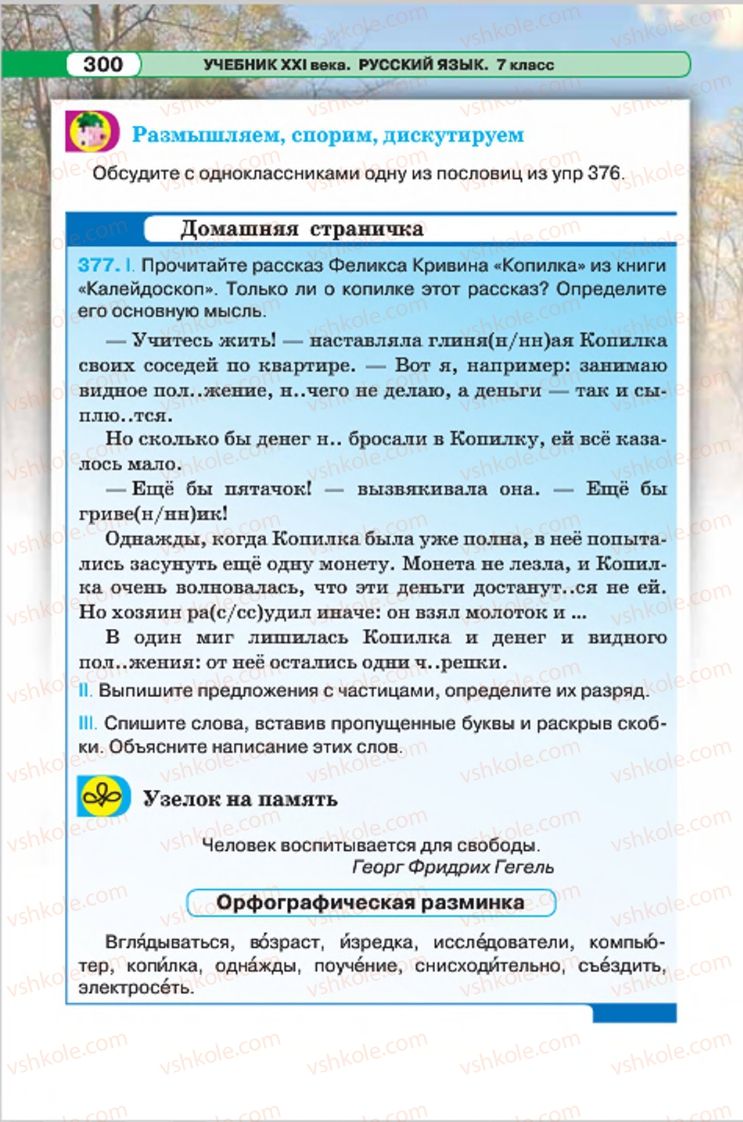 Страница 300 | Підручник Русский язык 7 клас Л.В. Давидюк, В.И. Стативка 2015 7 год обучения