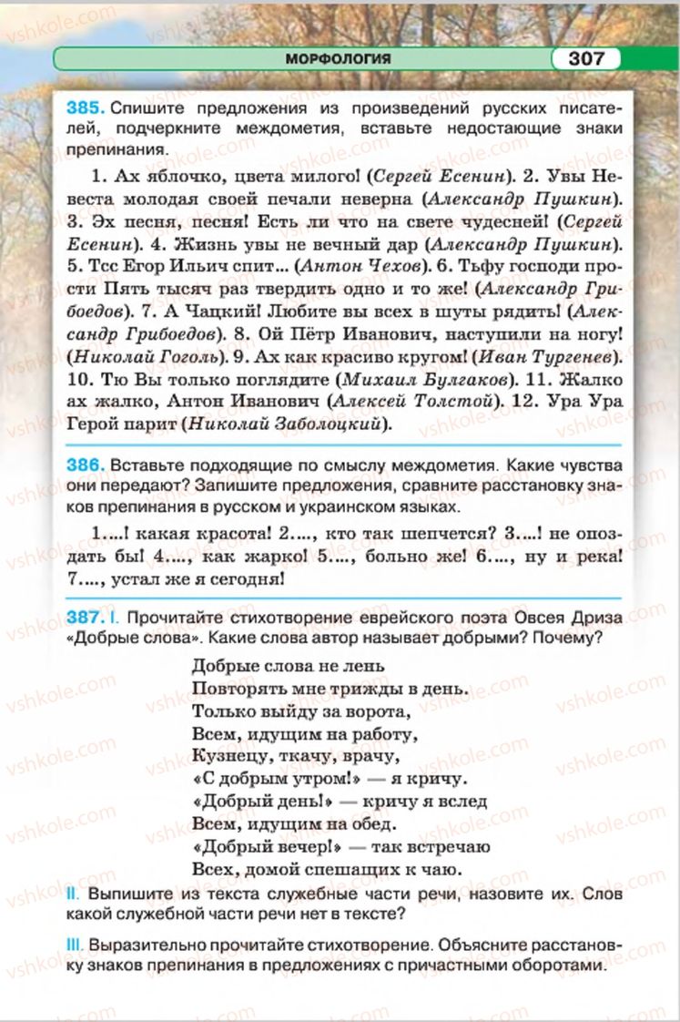 Страница 307 | Підручник Русский язык 7 клас Л.В. Давидюк, В.И. Стативка 2015 7 год обучения