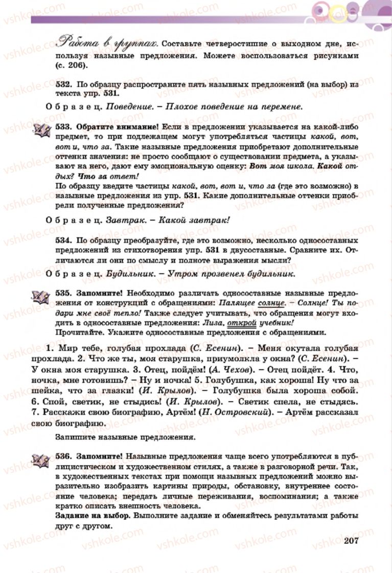 Страница 207 | Підручник Русский язык 7 клас Т.М. Полякова, Е.И. Самонова, А.М. Приймак 2015 3 год обучения