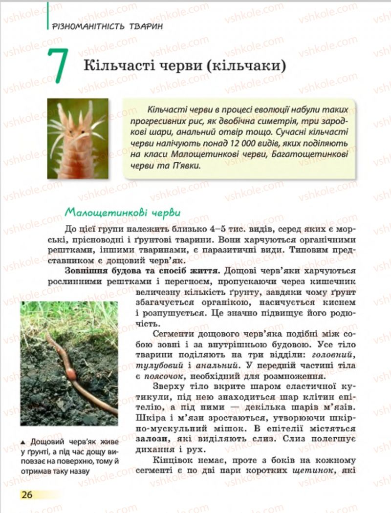 Страница 26 | Підручник Біологія 7 клас Н.В. Запорожець, І.І. Черевань, І.А. Воронцова 2015