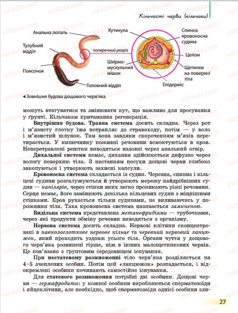 Страница 27 | Підручник Біологія 7 клас Н.В. Запорожець, І.І. Черевань, І.А. Воронцова 2015