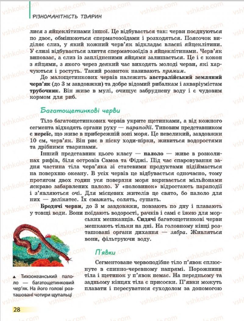 Страница 28 | Підручник Біологія 7 клас Н.В. Запорожець, І.І. Черевань, І.А. Воронцова 2015