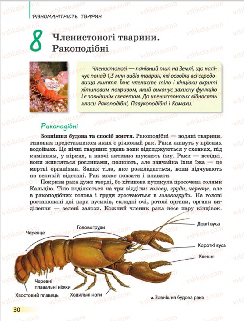 Страница 30 | Підручник Біологія 7 клас Н.В. Запорожець, І.І. Черевань, І.А. Воронцова 2015