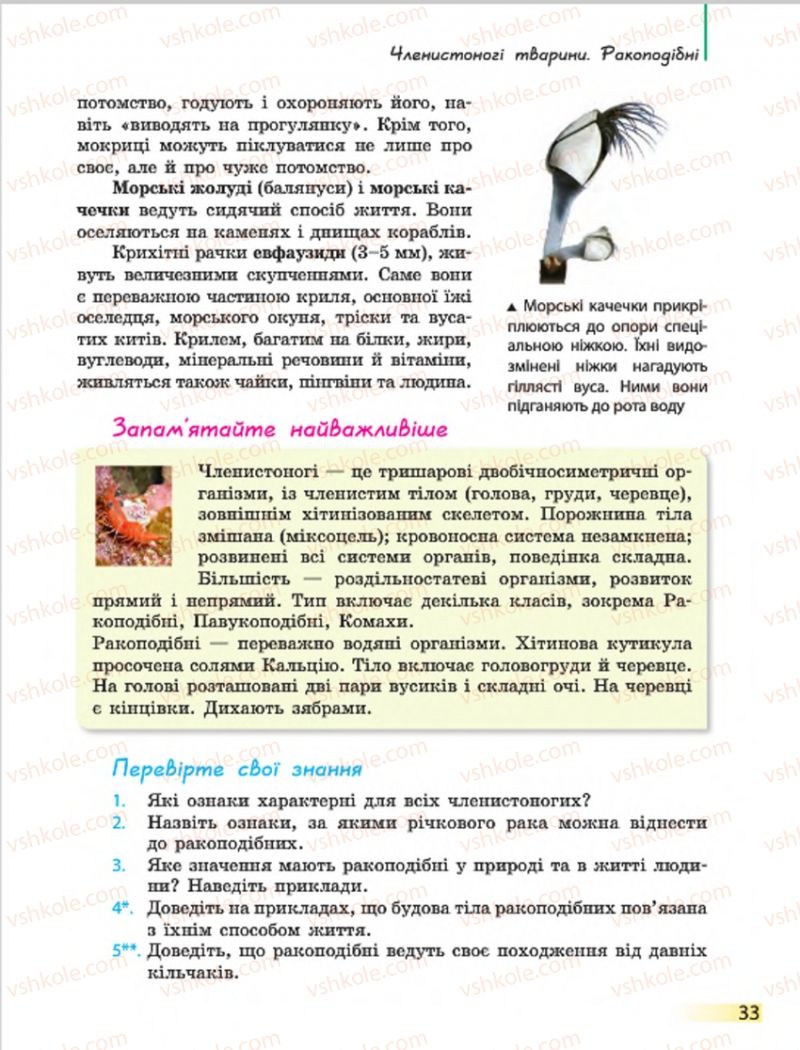 Страница 33 | Підручник Біологія 7 клас Н.В. Запорожець, І.І. Черевань, І.А. Воронцова 2015
