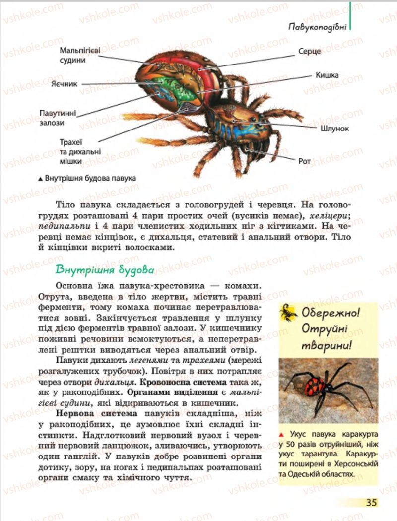 Страница 35 | Підручник Біологія 7 клас Н.В. Запорожець, І.І. Черевань, І.А. Воронцова 2015